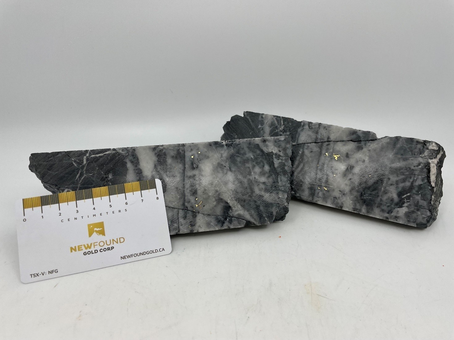 Figure 4 Photos Of Mineralization From Nfgc 21 310 8
