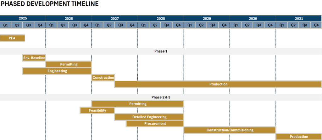 Phased Development Timeline