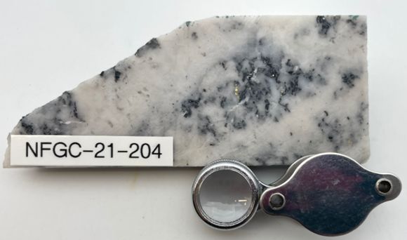 F703bea6 Dd81 8a4c 0267 3fc6bdf45e53